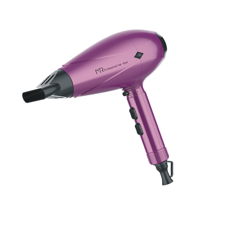  Professional Salon Hair Dryer with Big Power