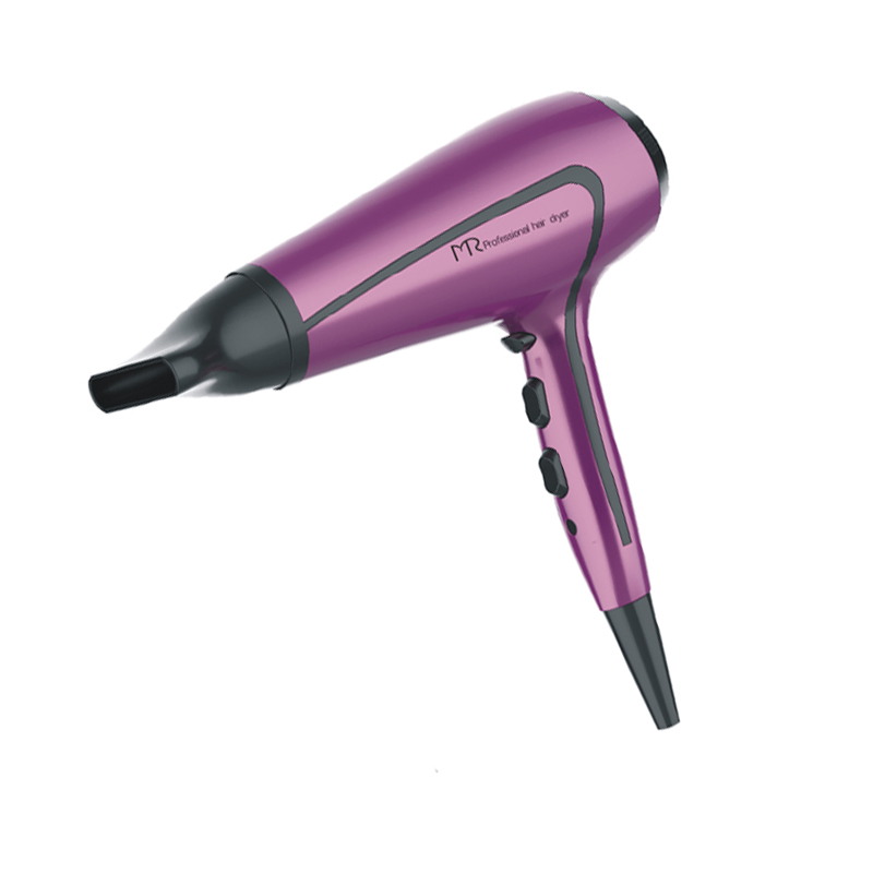  Negative Ionic Hair Blow Dryer