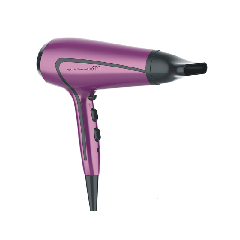  Negative Ionic Hair Blow Dryer