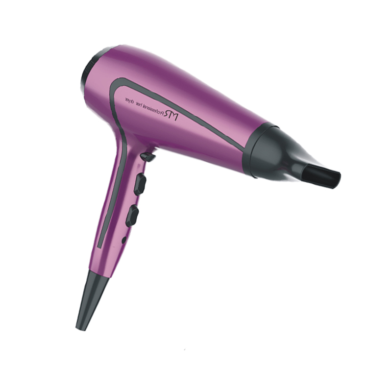  Negative Ionic Hair Blow Dryer
